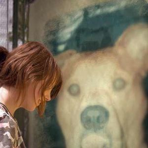 Meet your Posher, Terri